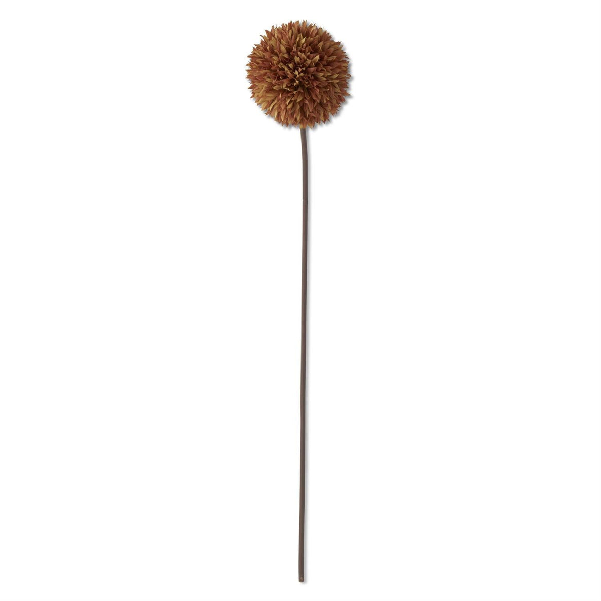 Brown Allium Stem – 31"