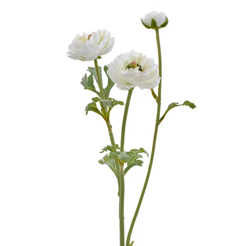 White 3 Head Open Ranunculus Stem 18.5" - Artificial Flower