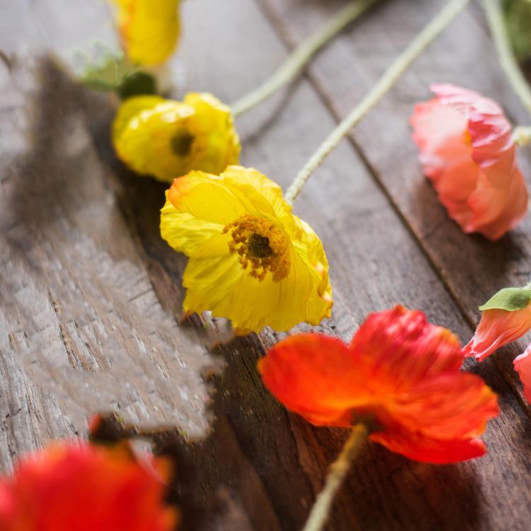 Flower Stems