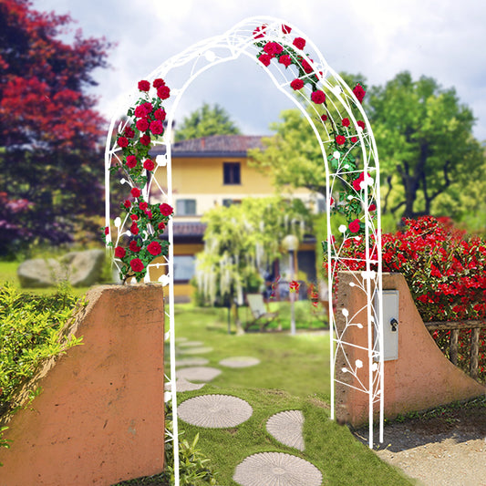 Metal Garden Arch for Climbing Plants & Events
