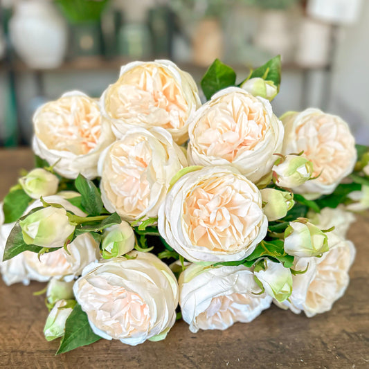 Peach/Cream English Rose Stem 20" - Artificial Flower Stem