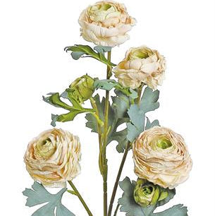 Blush Summer Dried Ranunculus Spray 30" - 6 Blooms Artificial Flower
