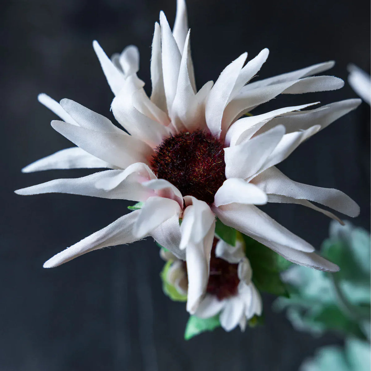 Blush Chrysanthemum Stem 29" - Single Stem Artificial Flower