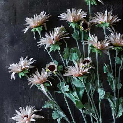Blush Chrysanthemum Stem 29" - Single Stem Artificial Flower