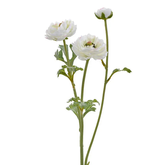 White 3 Head Open Ranunculus Stem 18.5" - Artificial Flower